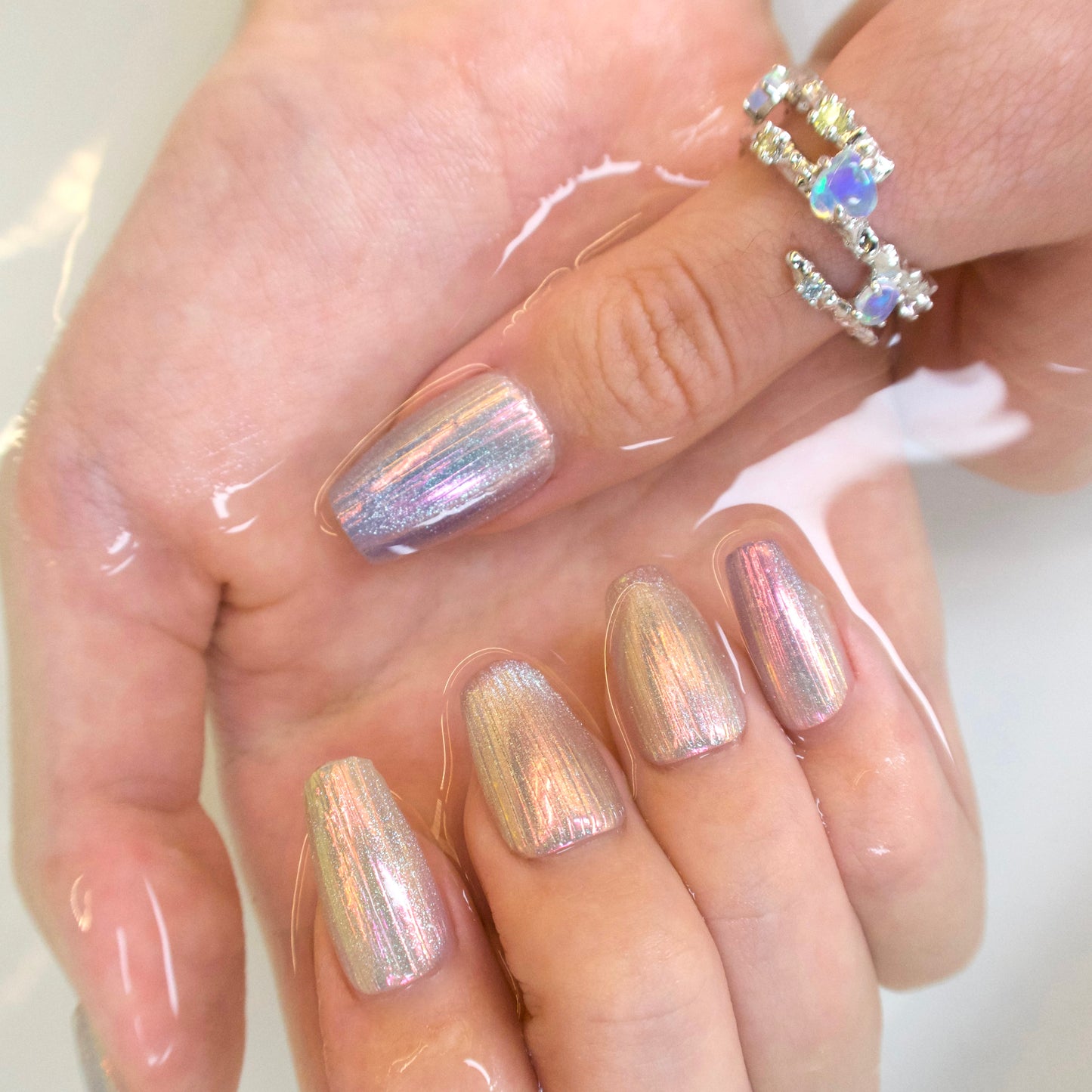 Glistening Shell
