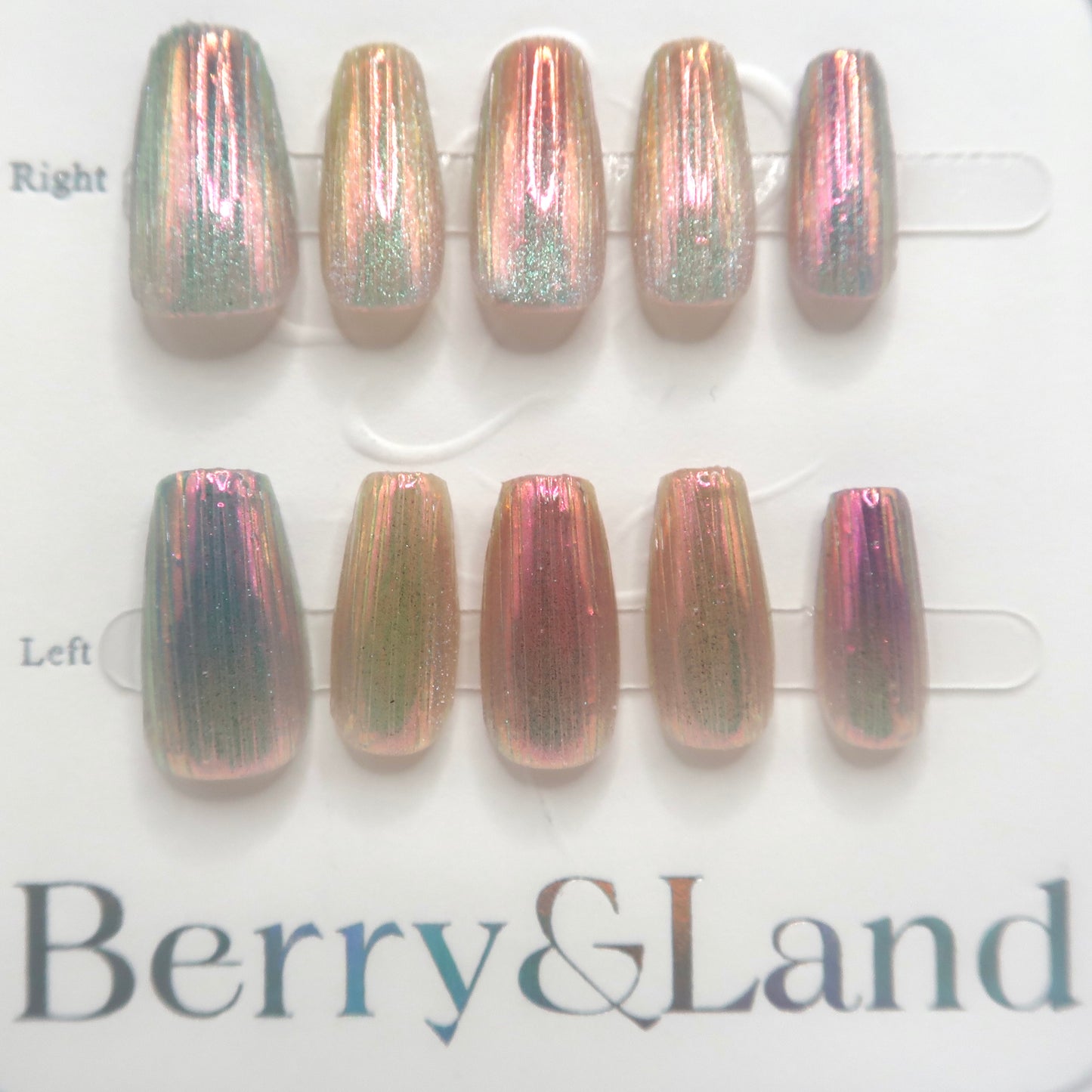Glistening Shell